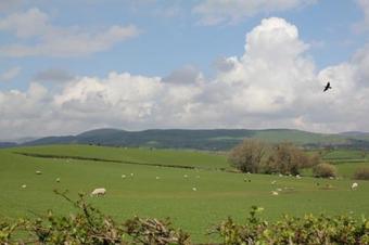 Apartamento Millcrest Holiday Let