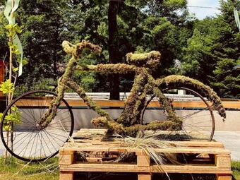 Bed & Breakfast Zelena Oaza