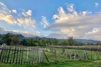 Countryside Retreat In Cosy House