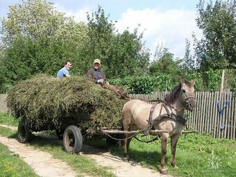 Apartamento Agroturystyka Gregorczyk