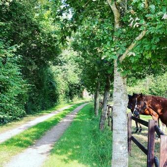 Vakantiehuis Ervedriestreek