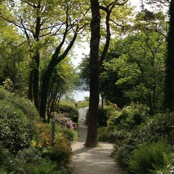 Annie's River Retreat