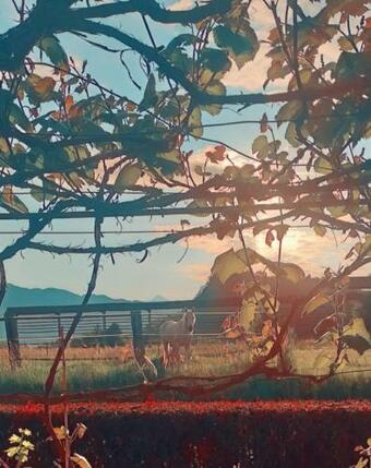 Apartments 1a Ribno - Bled