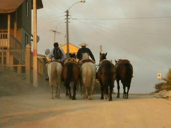 Agroturismo Caba�as Don Dago