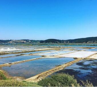 Acogedora Casa Con Bosca Interior, A Solo Pasos De La Laguna.