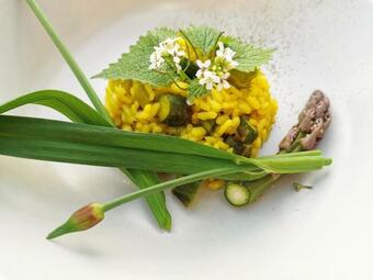 Herbal Estate Belajevi 1839