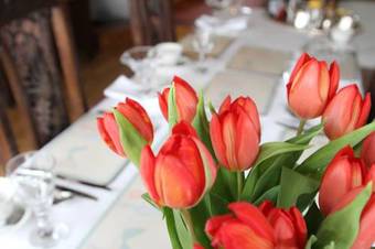 Bed & Breakfast Sunny Cottage