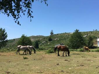 Casa Ponto Da Cruz T2