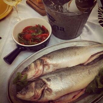 Santa Cruz Beach House