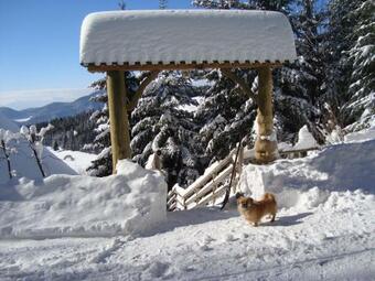 Charming Chalet Rogla