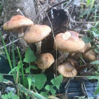 Captivating 2-bed House In Arganil