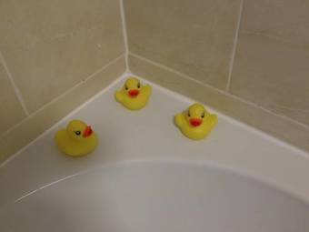 Bed & Breakfast Lochside Guest House