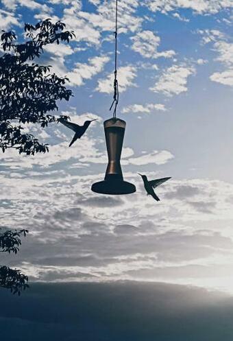 Villa Lima Lim�n Eco-house