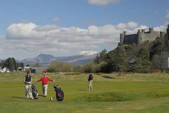 Bed & Breakfast Fron Deg Guest House