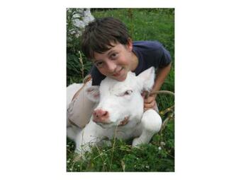 Agroturismo Turisti?na Kmetija Stoglej