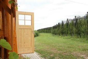Wooden Mill Among Orchards Apartment