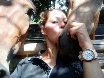 Hostal Hospedaje La Casa Del Caballo - El Dindal