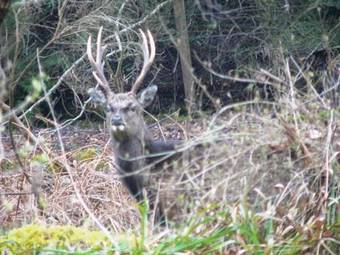 Hostal Foyers Bay Country House