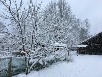 Bed & Breakfast Bia?owieska Le?nicz�wka "u Jasia I Ma?gosi"