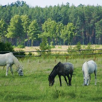 Agroturismo Na Plebanii