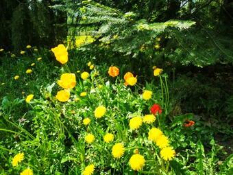 Villa Sielsko I Zacisznie