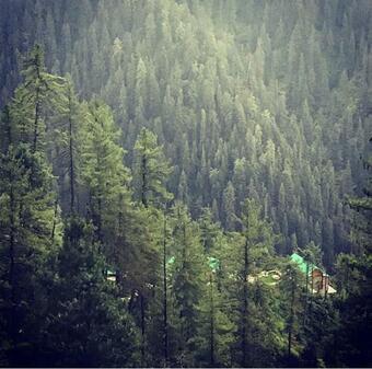 Lodge Skyline Villa Rental