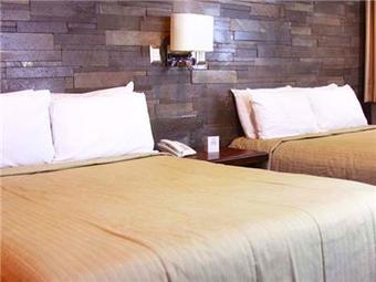 Hotel Alameda Centro Historico