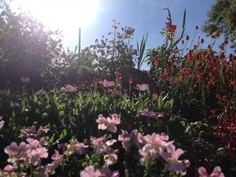 Agroturismo Glan Llyn