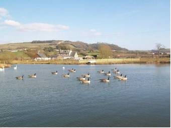 Bed & Breakfast Spillers Farm