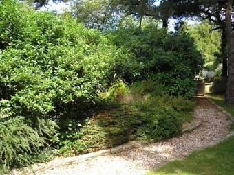 Bed & Breakfast Petherton Cottage