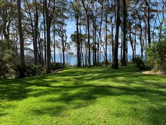 Beachgum