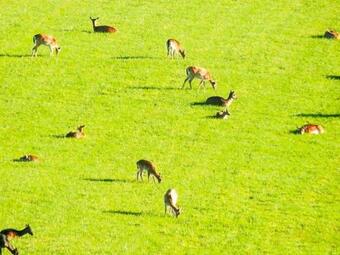 Holiday Home Veber�d II