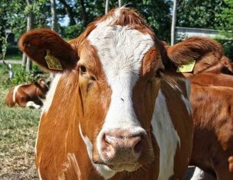 Apartamento Petersen Uwe