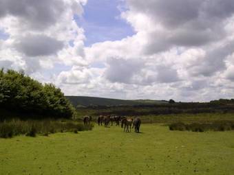 Bed & Breakfast Monks Cleeve