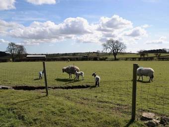 Town Pasture Cottage