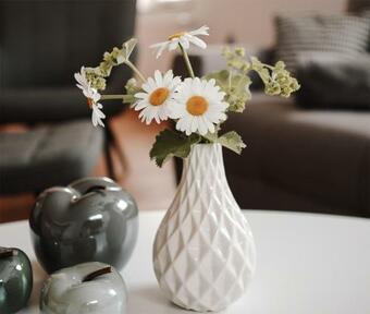 Ferienhaus Hassleben Uck 1221