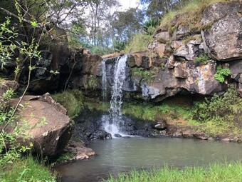 Hotel Chiflon Villas