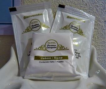 Hotel Purisima Concepci�n