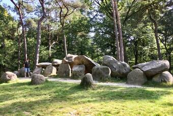 Drents Genieten - Riegheide