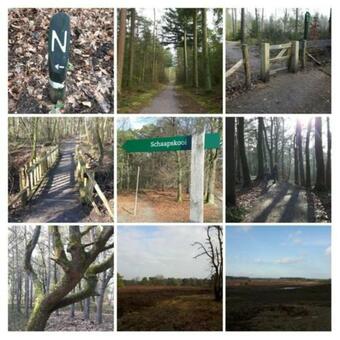 Bed & Breakfast In Den Paerd Gelogeerd