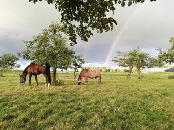 Apartamento Huize Blokland Vakantiewoning Op De Boerderij