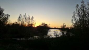 Bed & Breakfast Bij Ons Op Vogelswerf