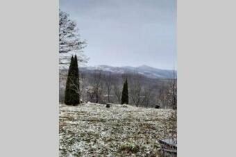 Villa House In The Forest