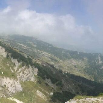 C?su?a Din P?dure De La C�mpu Lui Neag