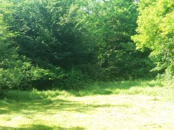 Casa De L�ng� P�dure