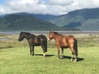 Lodge Caba�as Almalik