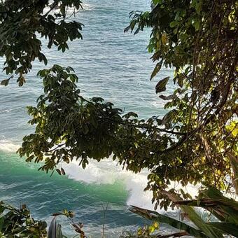 Reserva Natural Selva Mojada