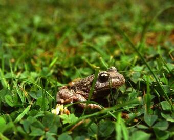 Hotel Herberg Oud Holset