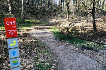 Vakantiebungalow In Bosrijke Omgeving Luttenberg