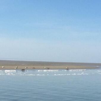 Apartamento Zuiderzeestate 28